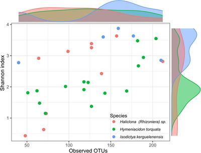 Variability in Host Specificity and Functional Potential of Antarctic Sponge-Associated Bacterial Communities